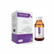 Amoxclav 156mg/5ml