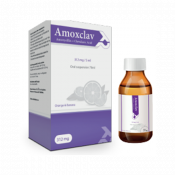 Amoxclav v 312mg/5ml